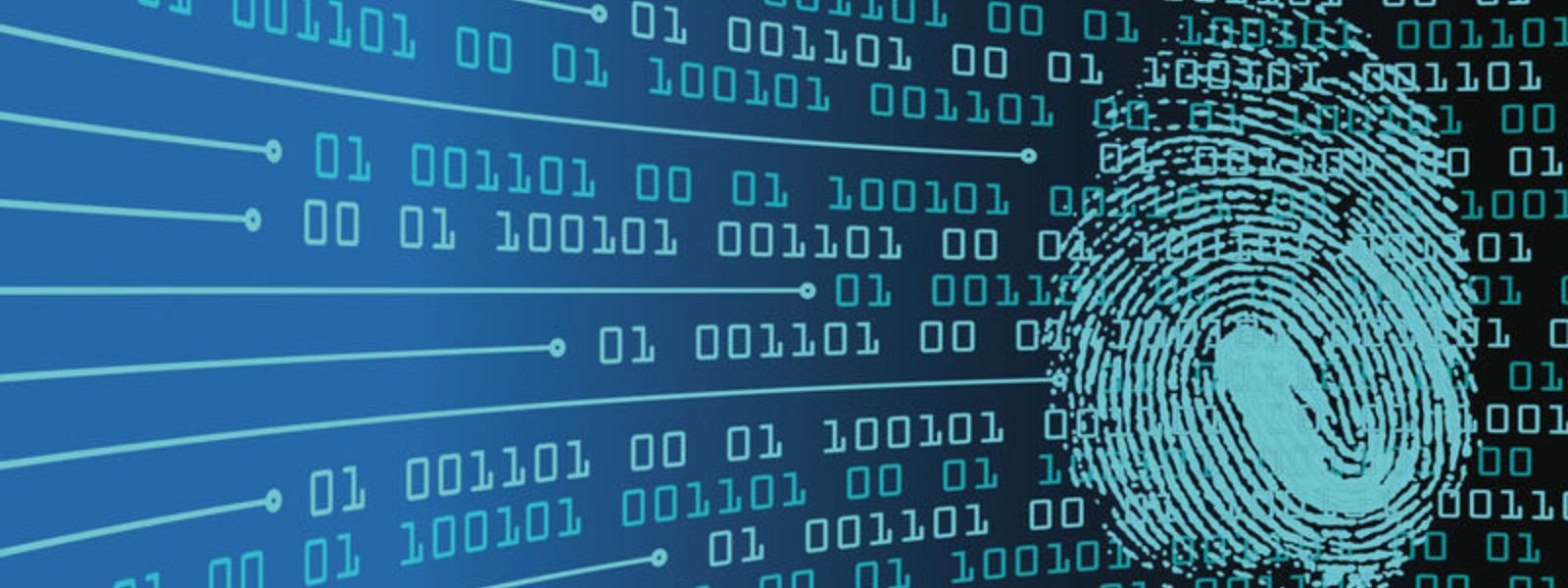 Lawyer or Accomplice? Trail of Criminal Support